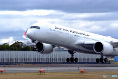 March morningⅦ✈JA12XJ