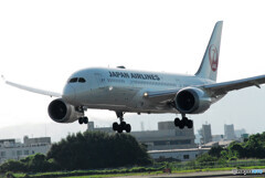 September morningⅥ✈Boeing 787-8