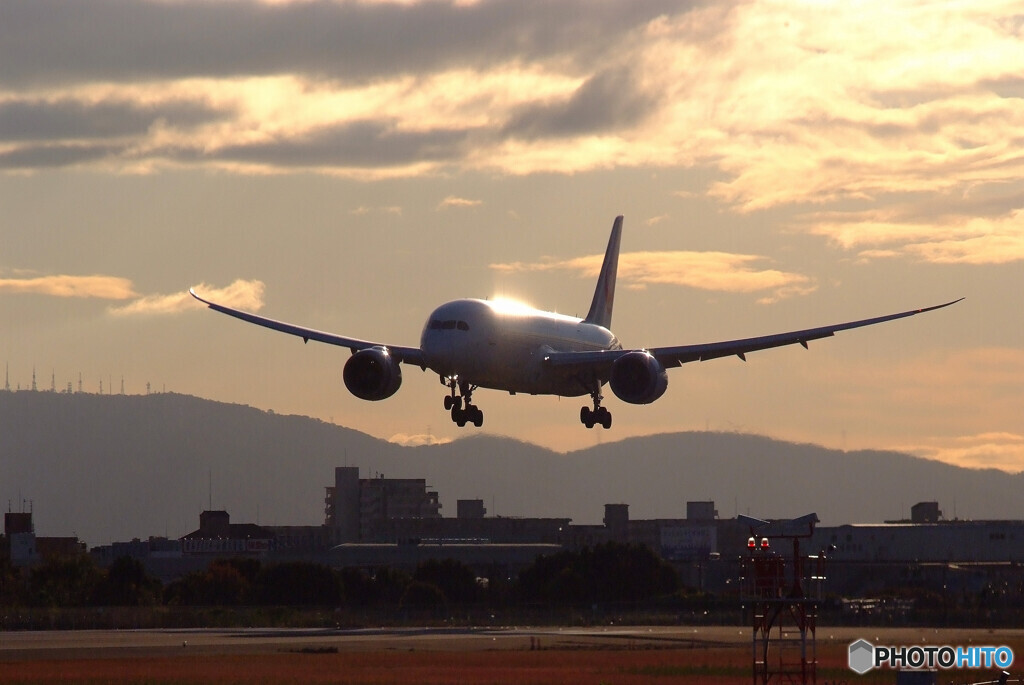 熱視線✈Dreamliner
