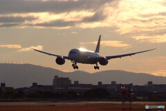 熱視線✈Dreamliner