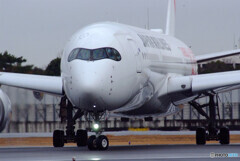 雨の滑走路✈JA01XJ 雨の滑走路✈JA01XJ