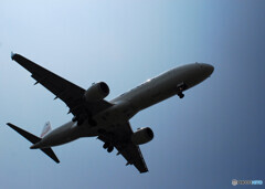 見上げれば・JAL