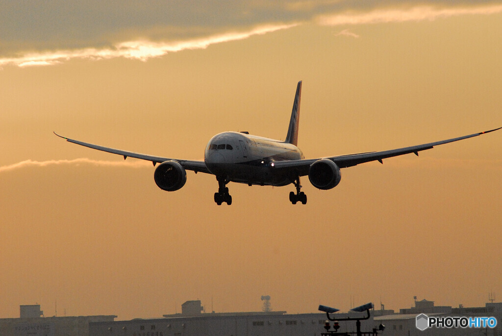 希望の翼2023✈Dreamliner