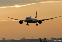 希望の翼2023✈Dreamliner