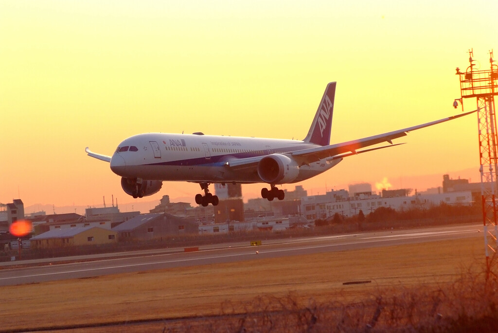 俺の朝焼け✈Boeing787-9