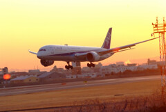 俺の朝焼け✈Boeing787-9