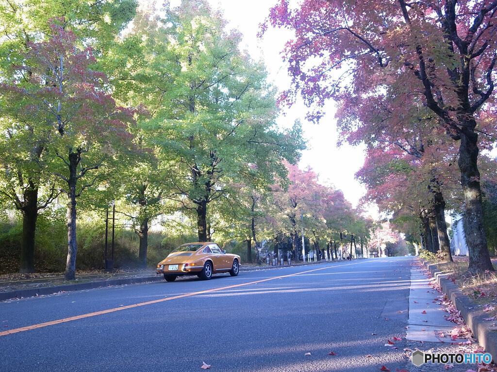  三色彩道✾PORSCHE