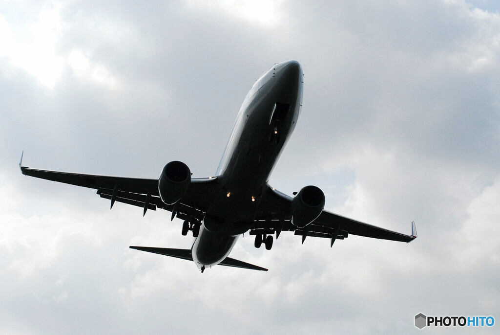 Beautiful Morning・Wing