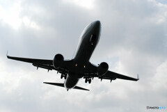 Beautiful Morning・Wing