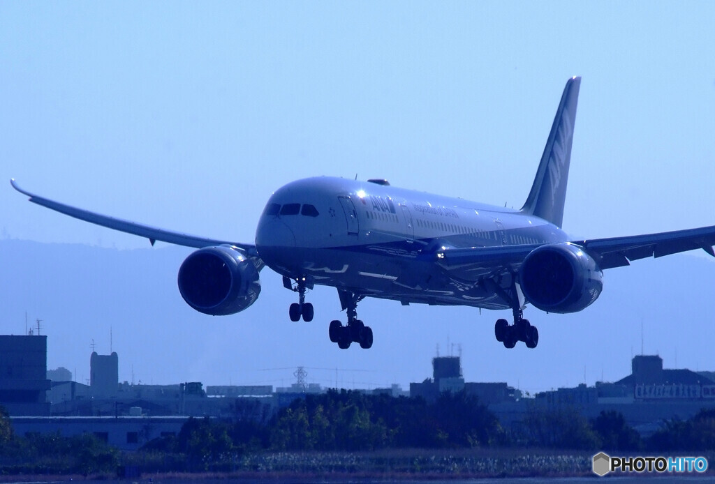 蒼が飛ぶ✈Dreamliner