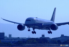 蒼が飛ぶ✈Dreamliner
