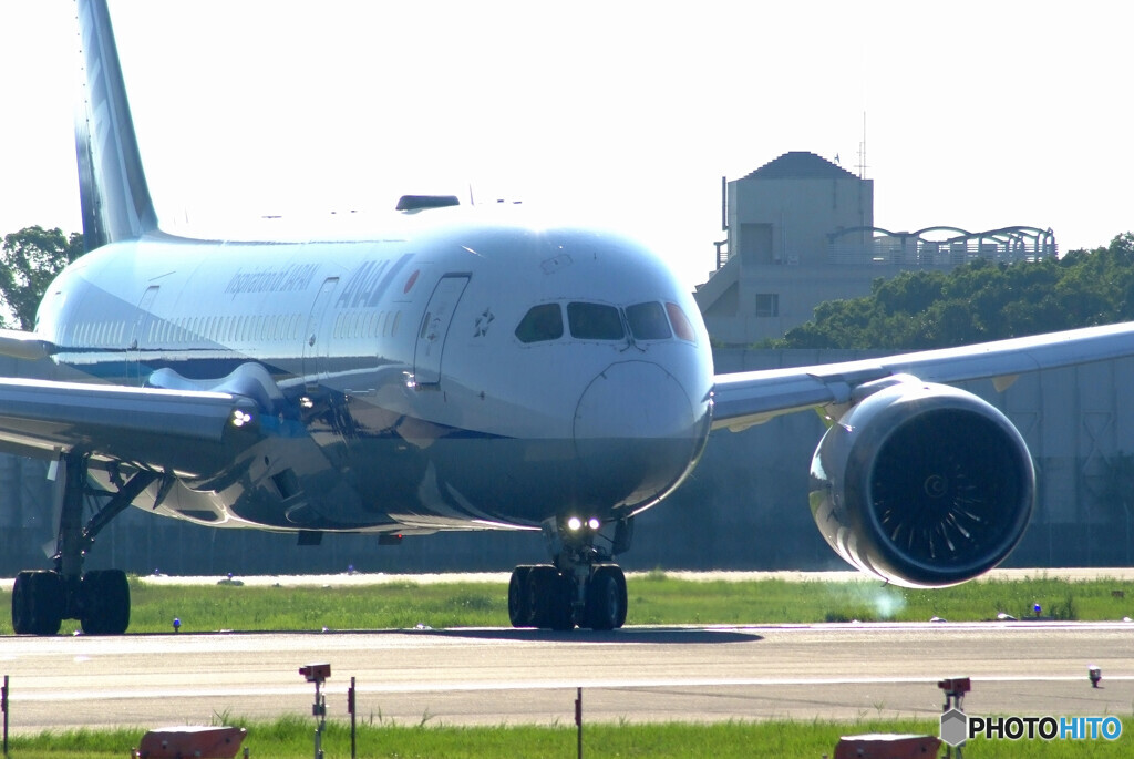 Endless Summer✈Boeing 787-8