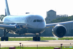 Endless Summer✈Boeing 787-8