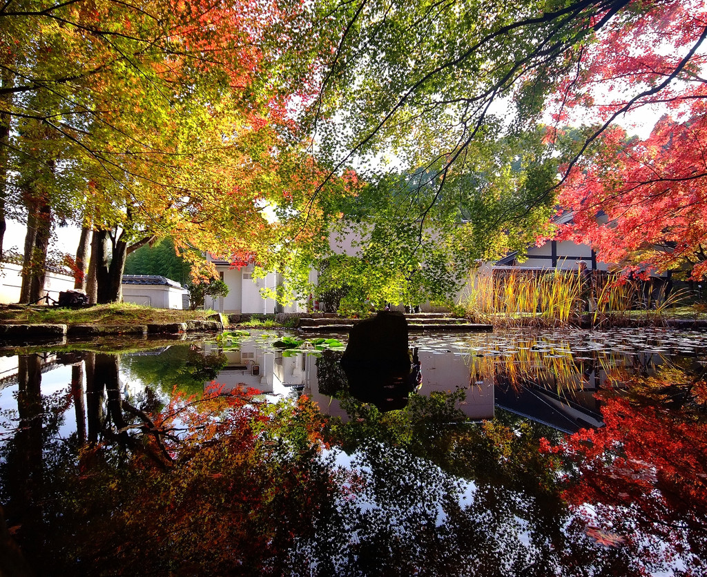 紅葉スケッチ・2014