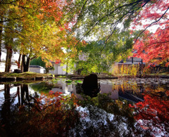 紅葉スケッチ・2014