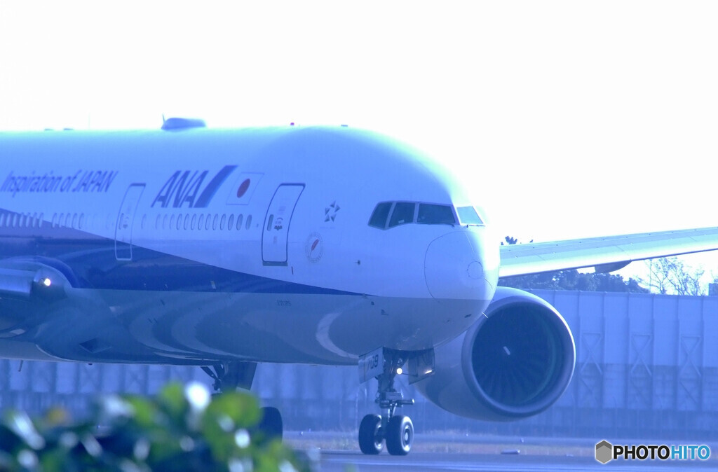 蒼の時・ＡＮＡ