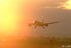 February SunriseⅡ✈787