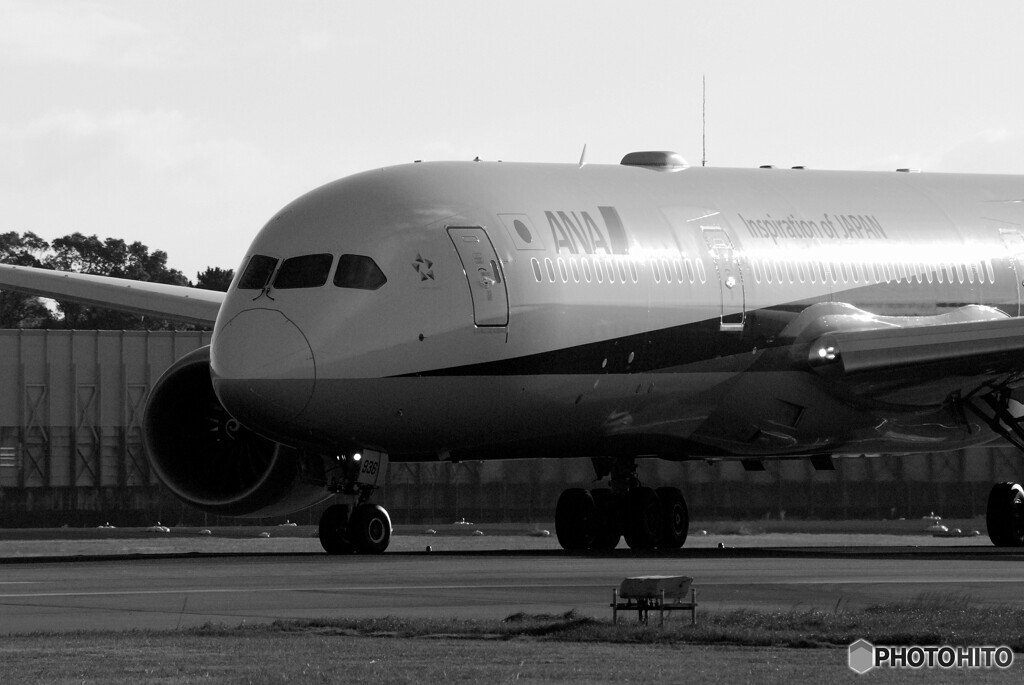 Morning of the 24thⅧ✈Boeing 787-8