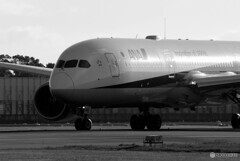 Morning of the 24thⅧ✈Boeing 787-8