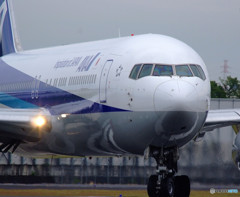 Morning StarⅩ・秋