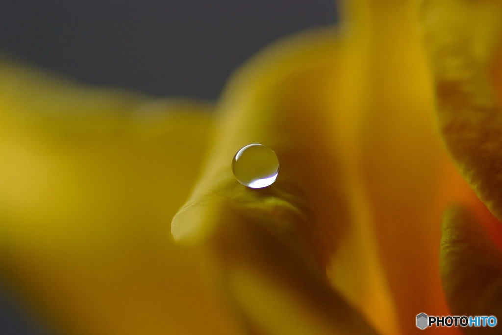 今宵は満月のように