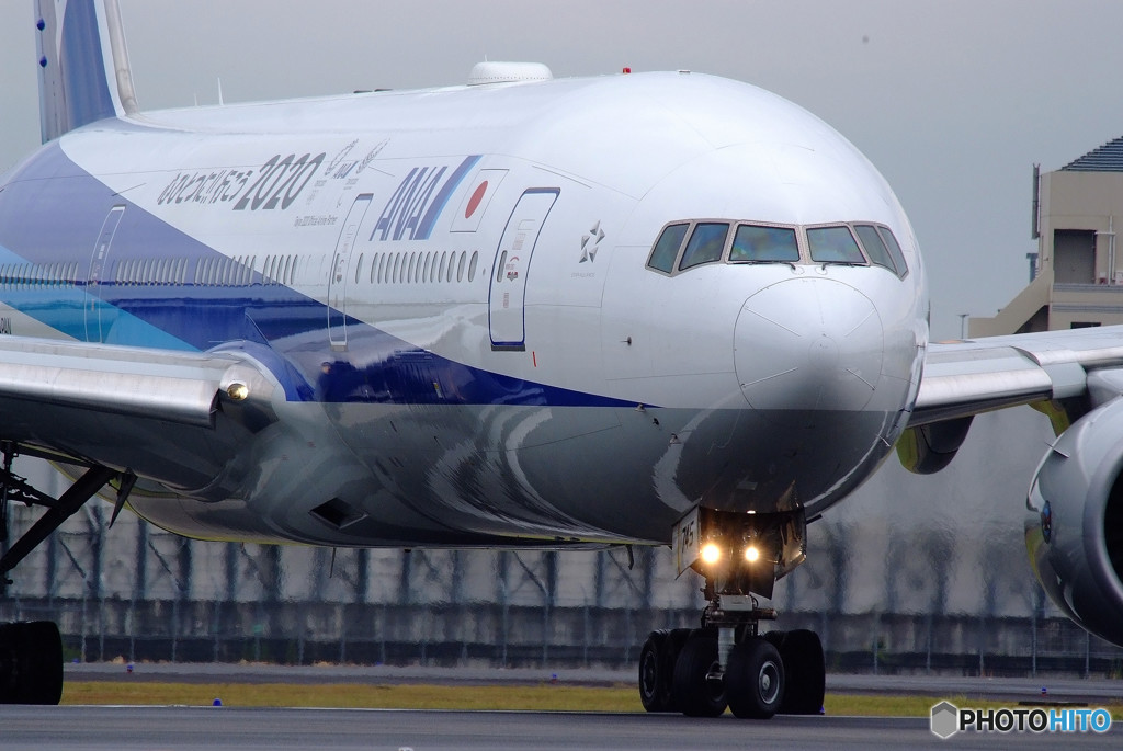 Morning StarⅦ・秋