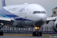 Morning StarⅦ・秋