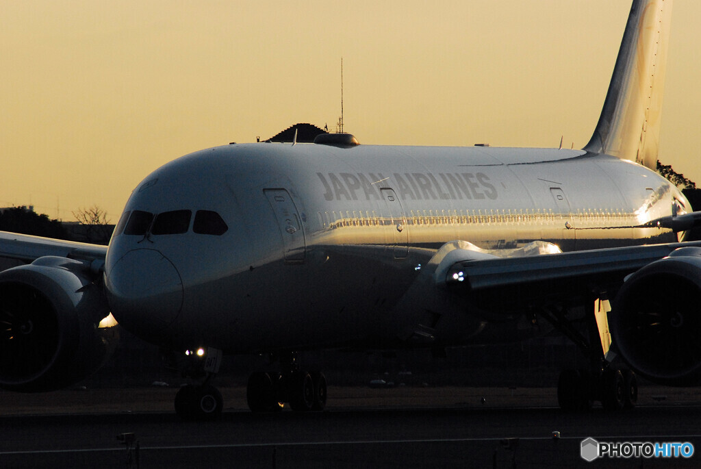 January 10ndⅦ✈Boeing787-8