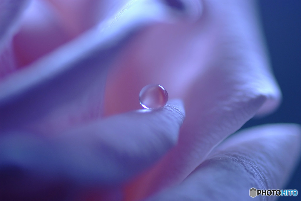 夢のつづき・雫