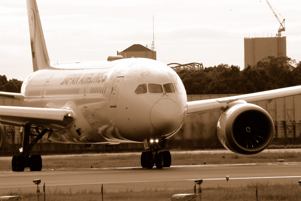 俺たちの旅➎✈Boeing787-8Dreamliner