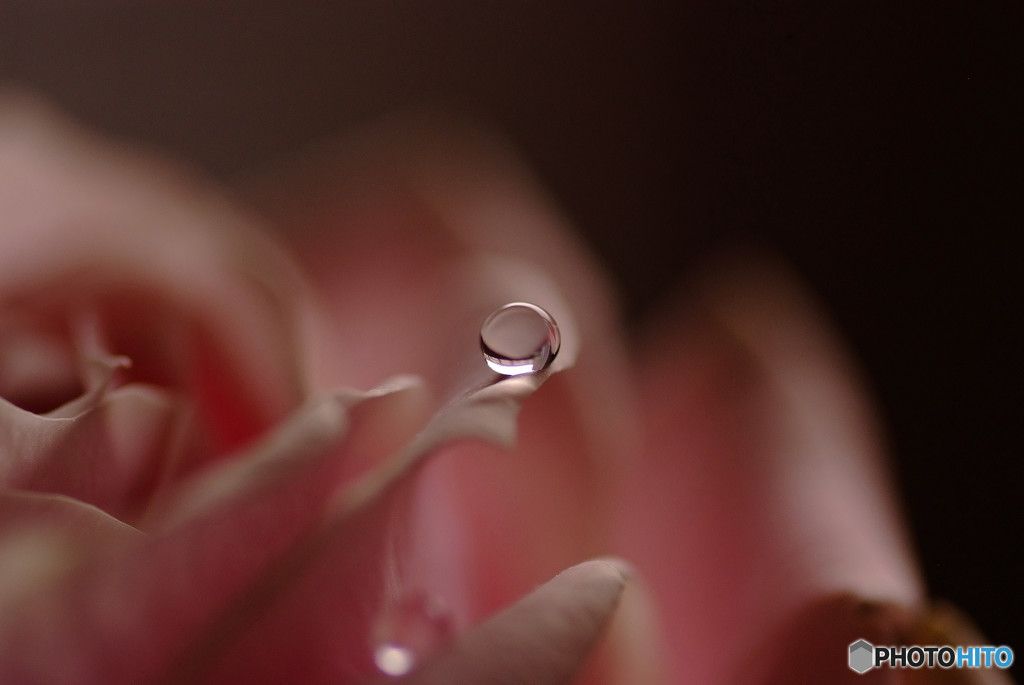 愛しき惑星Ⅱ・雫