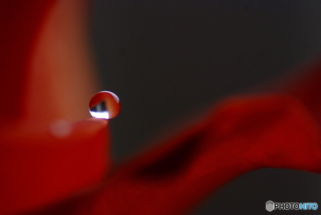 笑顔の行方✿華