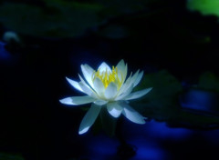 幸福の時・睡