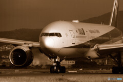 男たちの勲章・JAPAN