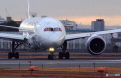 朝焼けの旅路へ✈787Dreamliner 
