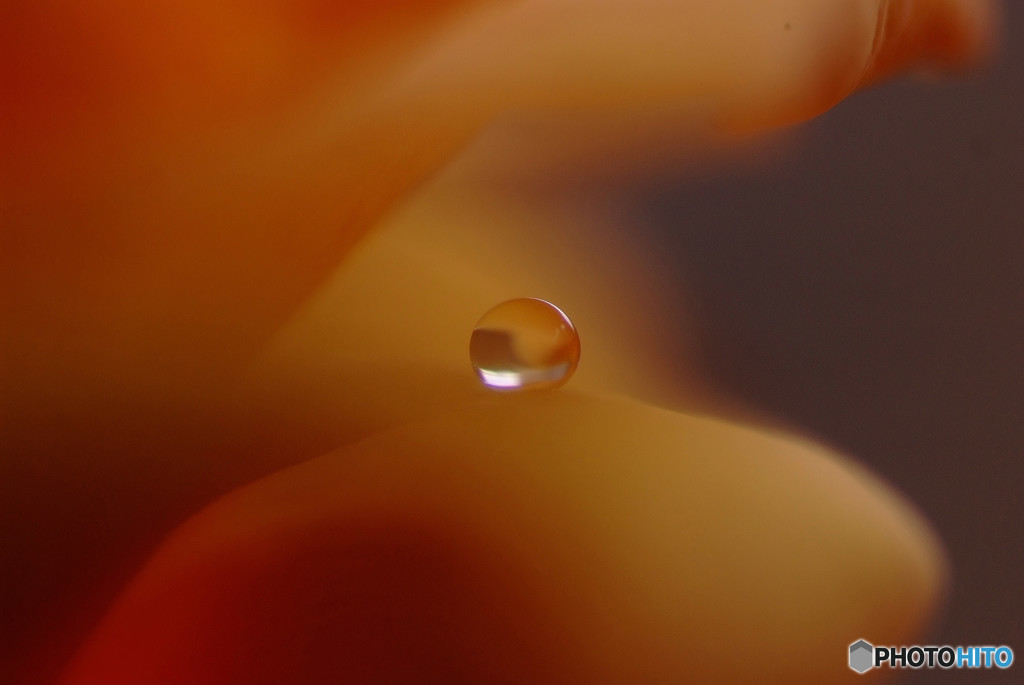 Life Is Beautiful・雫