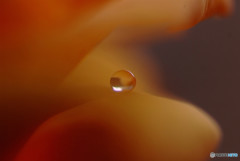 Life Is Beautiful・雫