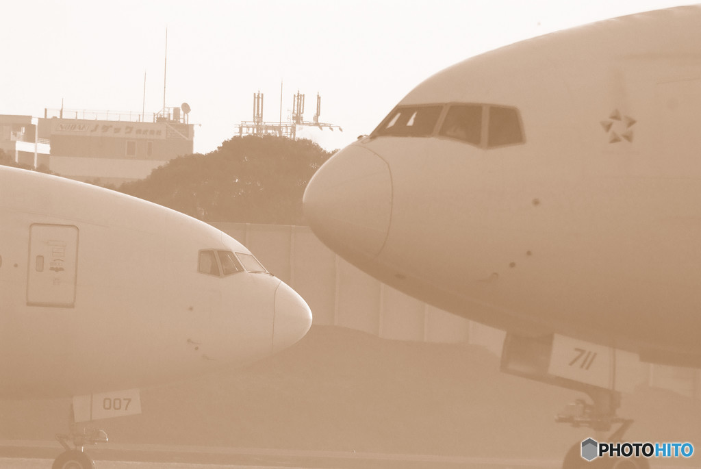 霞の旅人・JAL