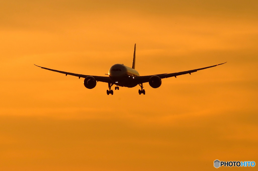 Gift from southⅡ・787