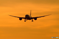 Gift from southⅡ・787