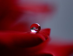 涼月の惑星（Ⅰ）