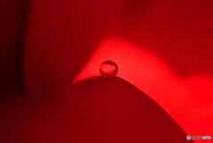 February Light✿雫