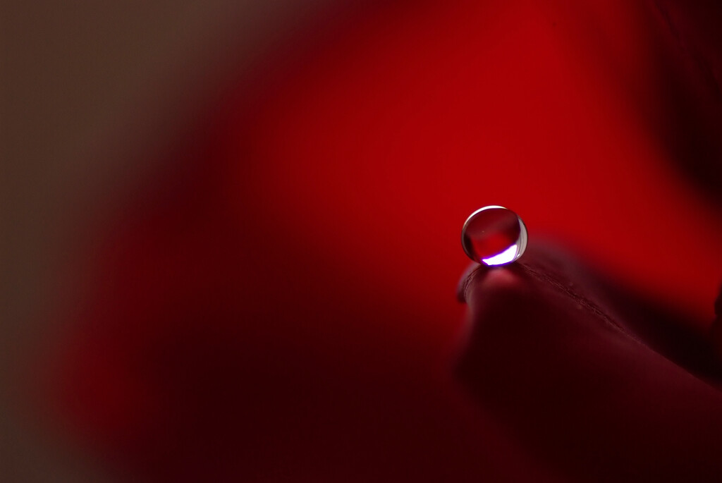 真実の瞳♩睦月2026