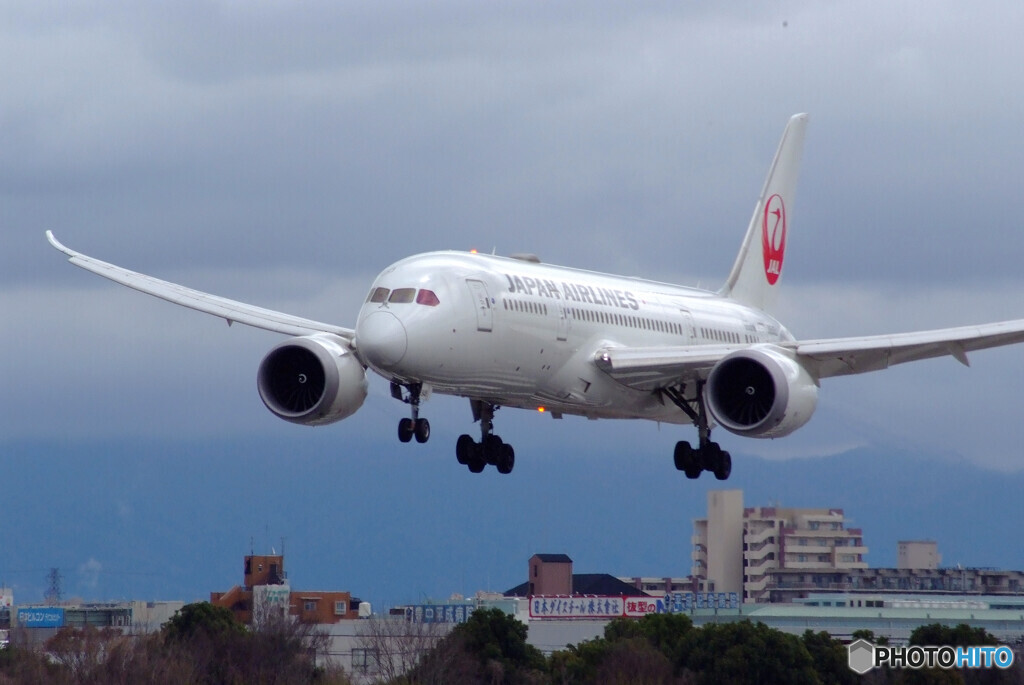 Journey in March Ⅲ✈Boeing 787-8