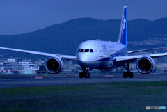 蒼が飛ぶ✈ Boeing 787-8 Dreamliner 