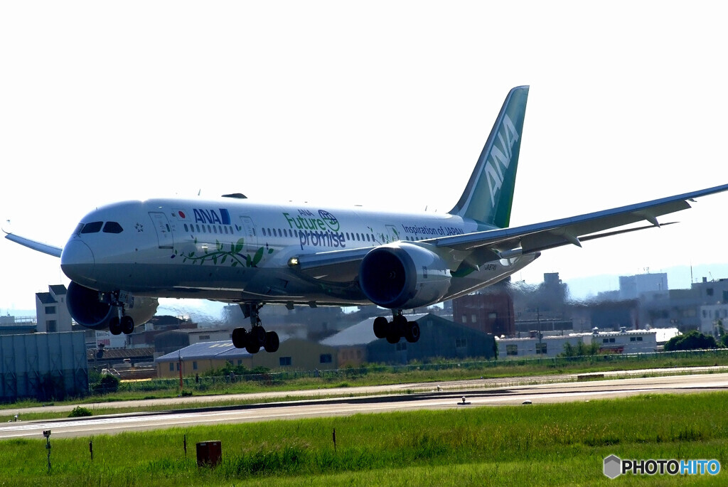 Sunday morning✈JA874A