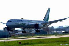 Sunday morning✈JA874A