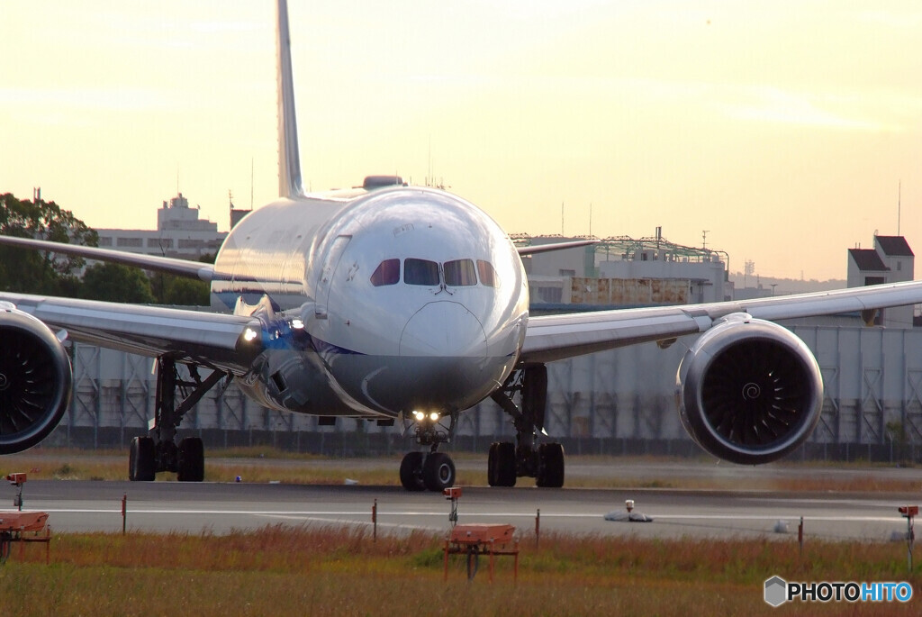 俺の朝✈Dreamliner