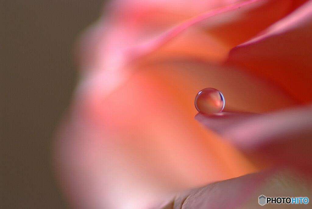 Morning Light✿葉月の朝