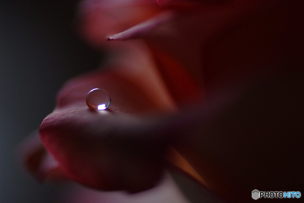 静寂の時✿雫